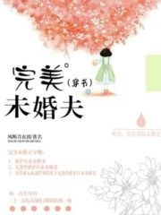 Perfect Fiancé Cover Image