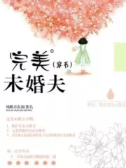 Perfect Fiancé Cover Image