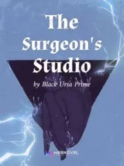 The Surgeon’s Studio Cover Image